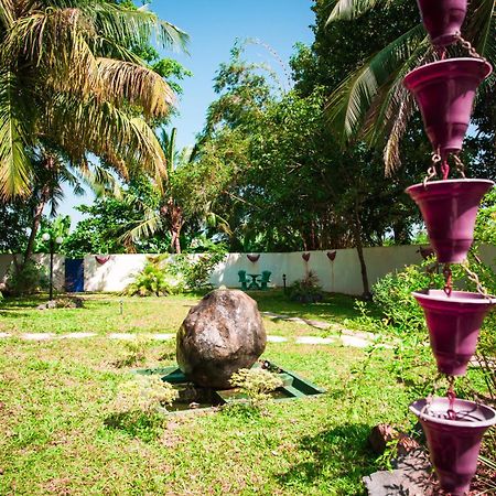 Dream Villa Mirissa Kültér fotó