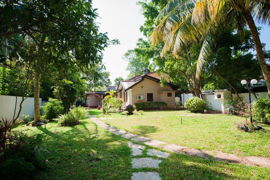 Dream Villa Mirissa Kültér fotó